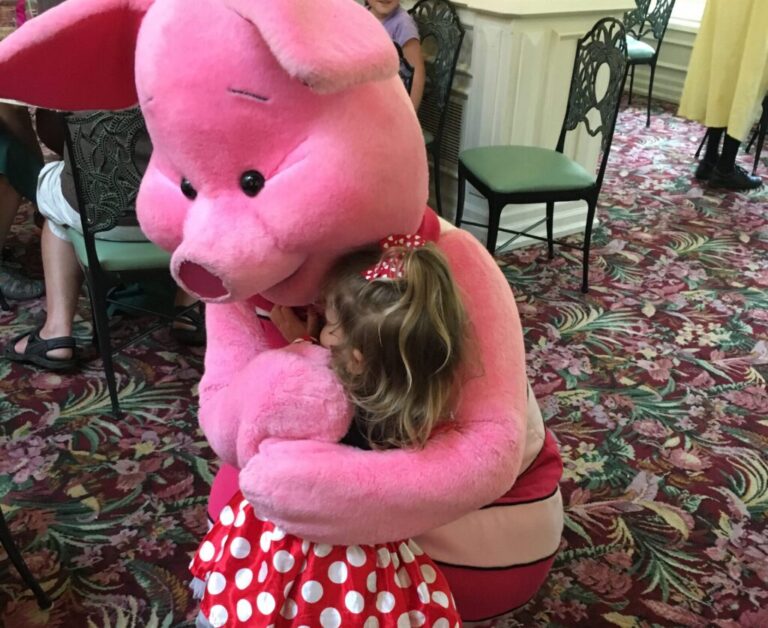 7 Reasons Why You Should Use a Disney Vacation Planner!